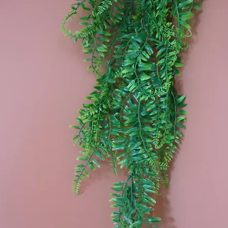Lp - 4 Saisons